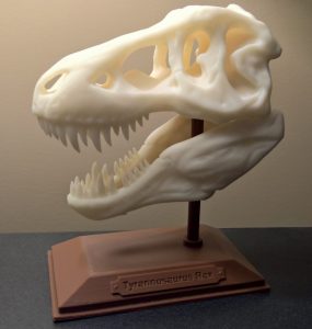 real t rex skull for sale
